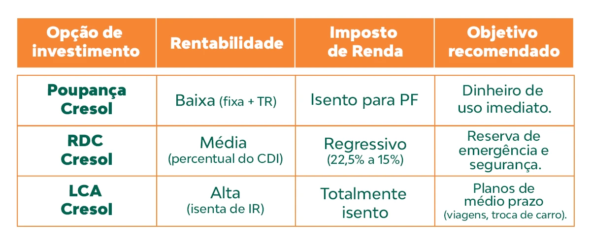 Como fazer o dinheiro render: orientações práticas para organizar finanças, gerar renda e investir