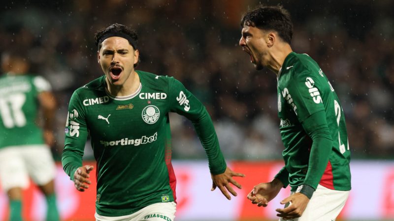 Coritiba e Palmeiras: galeria de fotos da 19ª rodada do Brasileirão no Couto Pereira