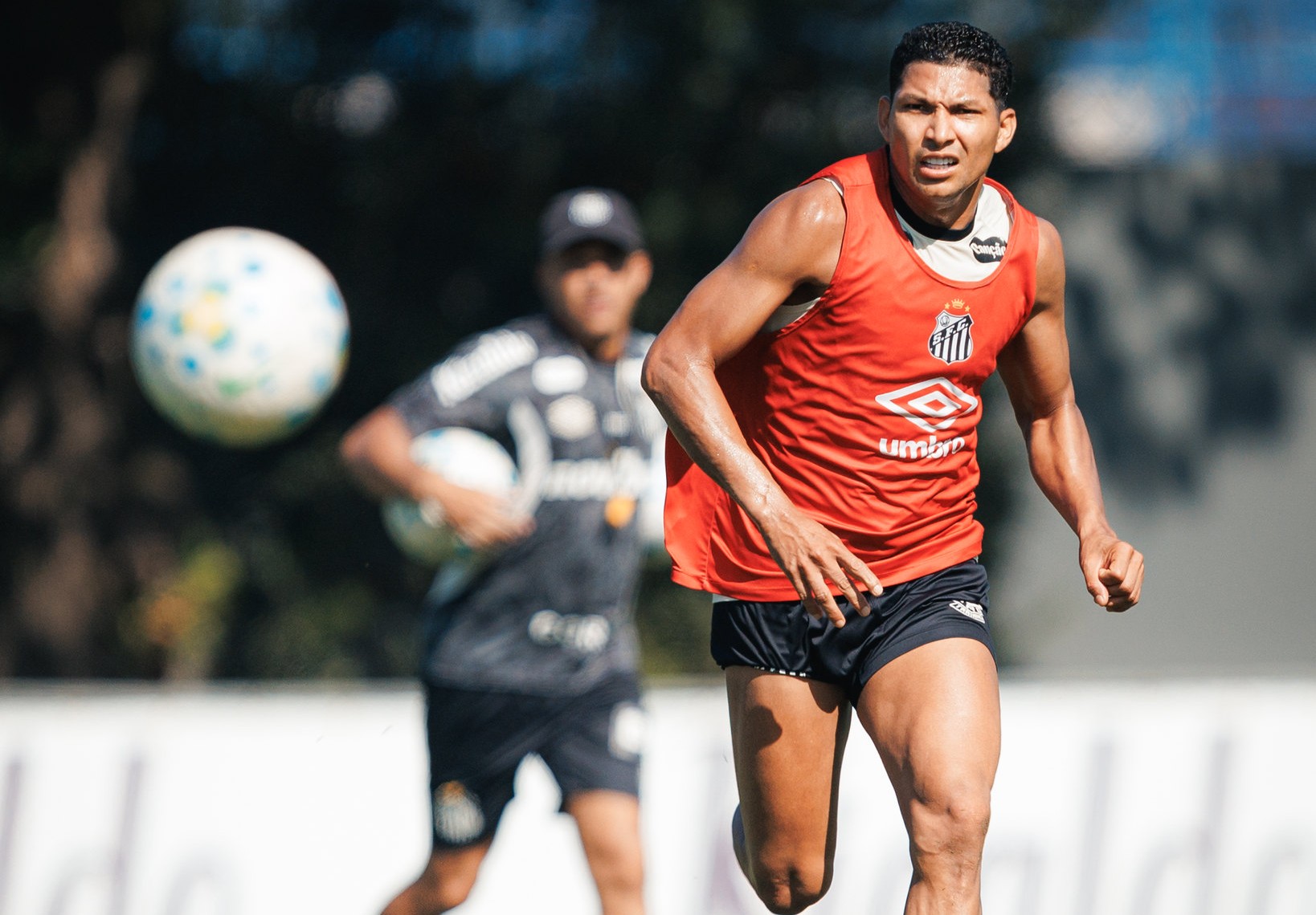 Santos encara Botafogo sem Gabigol; Rony e Thaciano chegam em baixa