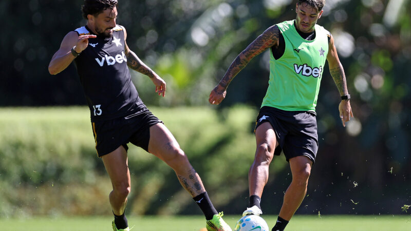 Botafogo x Vitória — 23/07/2026: onde assistir, estatísticas, histórico e prováveis escalações