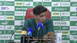Abel Ferreira comenta lances polêmicos no Barradão