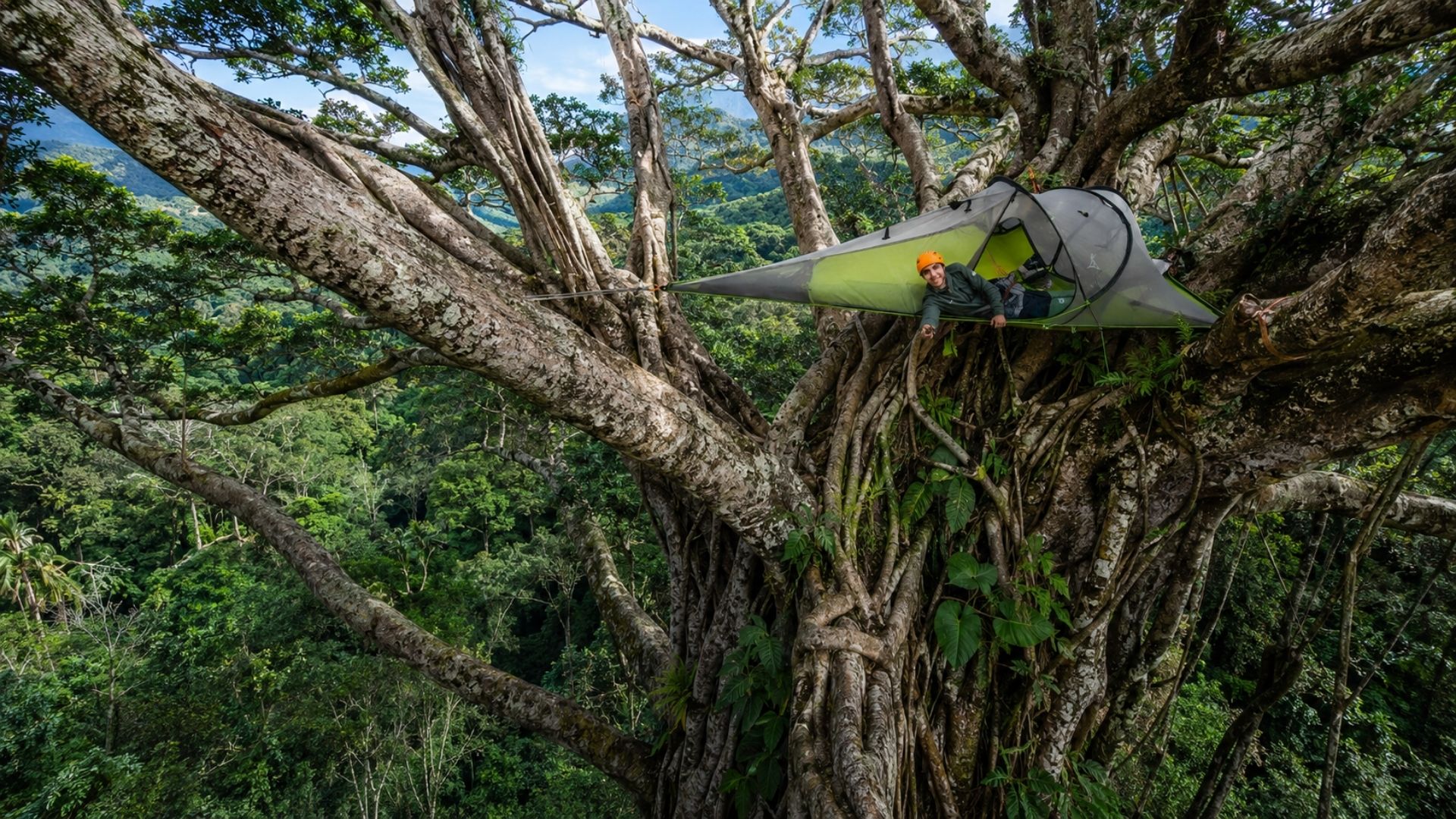 Aventureiro escala figueira gigante de mais de 20 metros na Costa Rica e passa a noite em barraca na copa