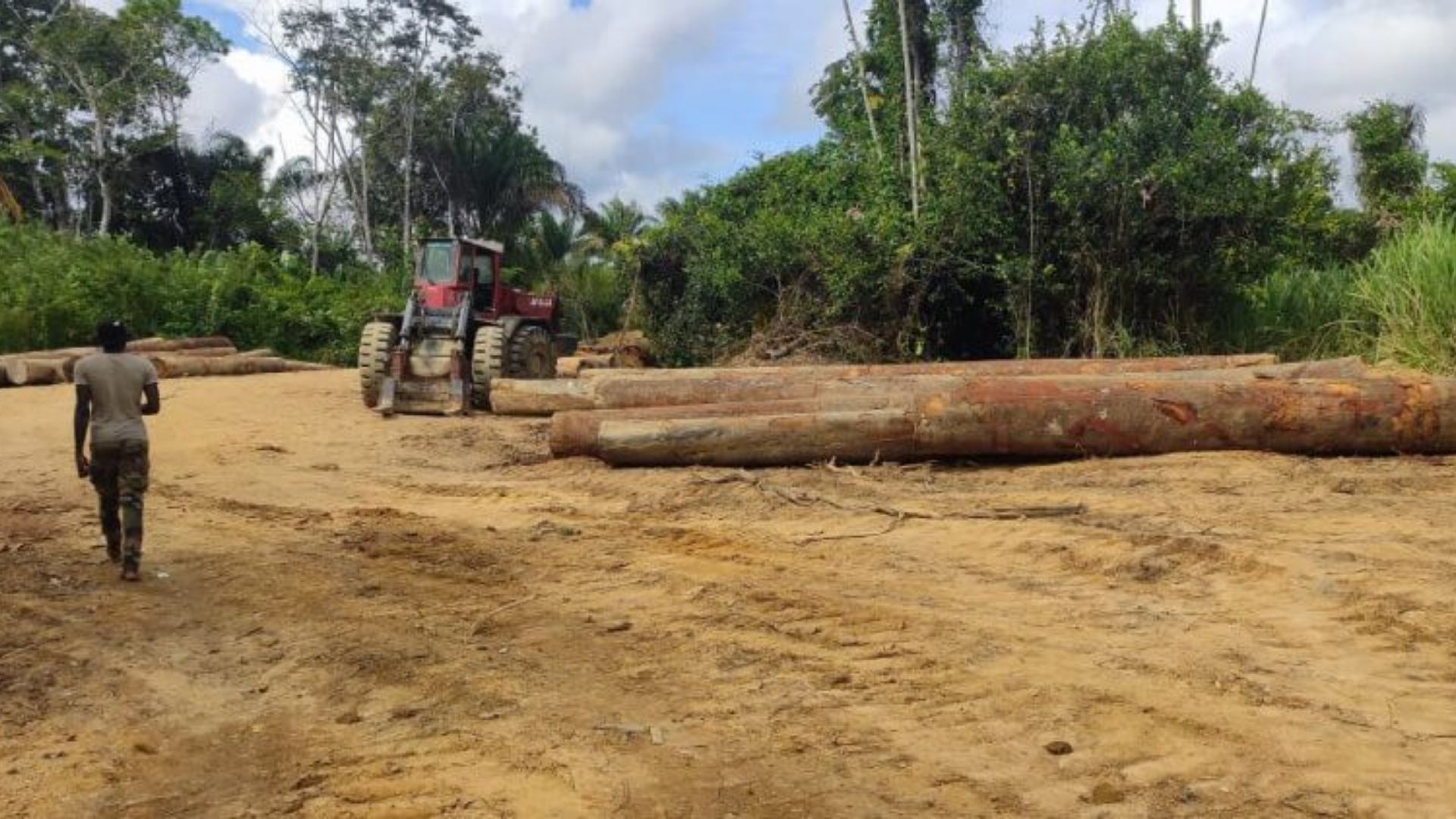 Satélites de 30 cm flagraram cinco crimes ambientais da Amazônia a uma ilha que afunda