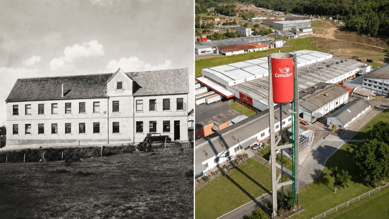 Condor: de escova de dente em 1929 a gigante de escovas e vassouras com R$ 790 milhões em 2023