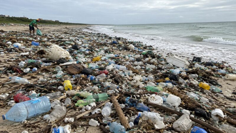 Praia brasileira antes considerada intocada recebe mais de 50 toneladas de lixo trazido pelo mar