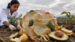 Estudante sul-africana de 16 anos transformou cascas de laranja e abacate em material para reter água no solo e venceu a Google Science Fair