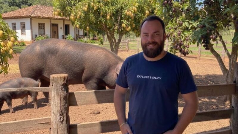 Zootecnista em sítio de Minas faz porcos caipiras de mais de 100 kg virarem principal renda da família