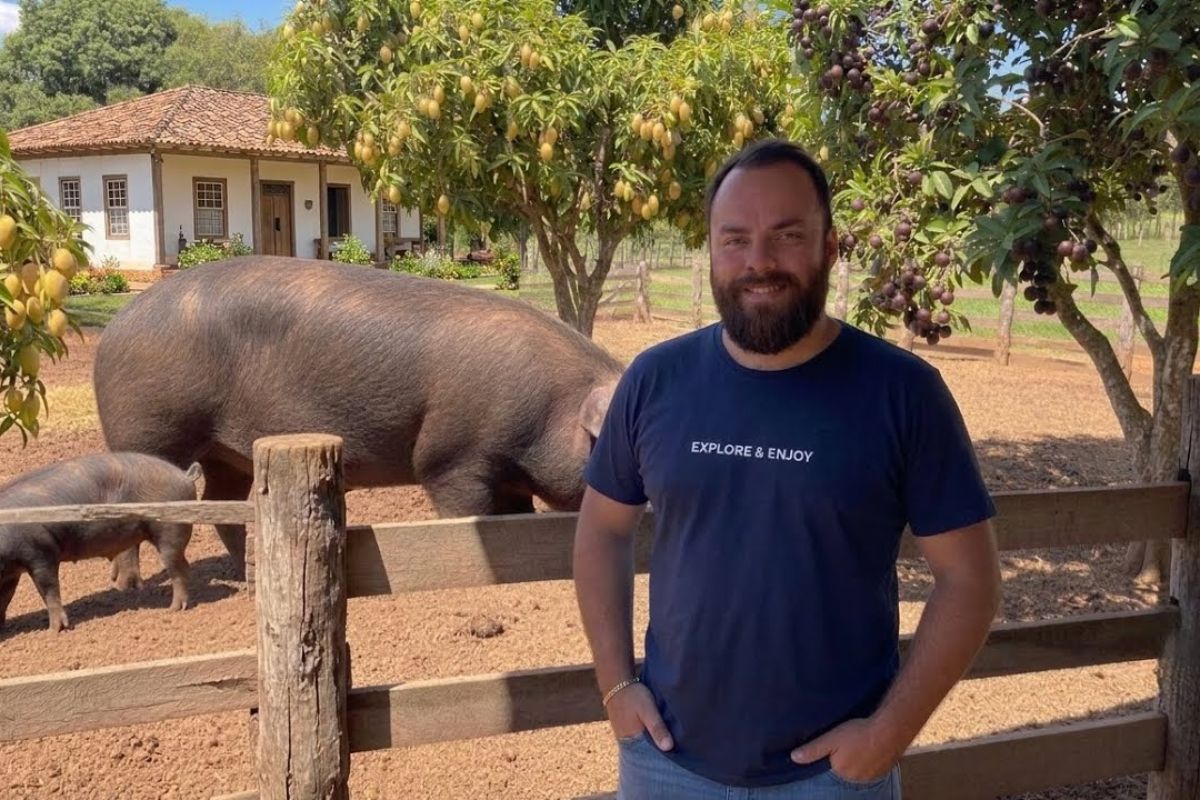 Zootecnista em sítio de Minas faz porcos caipiras de mais de 100 kg virarem principal renda da família
