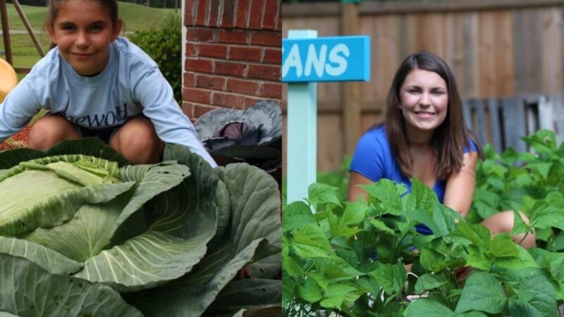 Repolho de 18 kg plantado por Katie Stagliano aos 9 anos virou refeição para 275 pessoas e gerou 100 hortas comunitárias