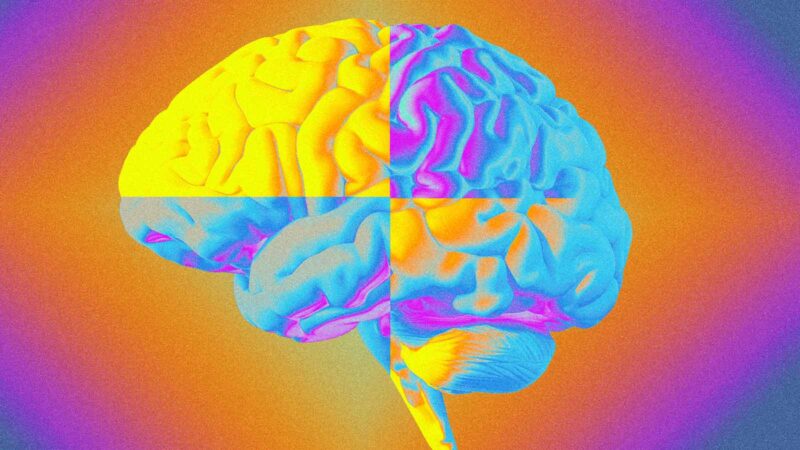 Estresse financeiro ao longo da vida está ligado a envelhecimento cerebral mais rápido, diz estudo