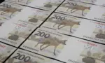 Mercado financeiro amplia apoio a iniciativas que preservam florestas