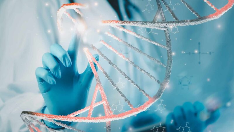Cientistas detectam DNA de duas linhagens humanas extintas em genomas atuais