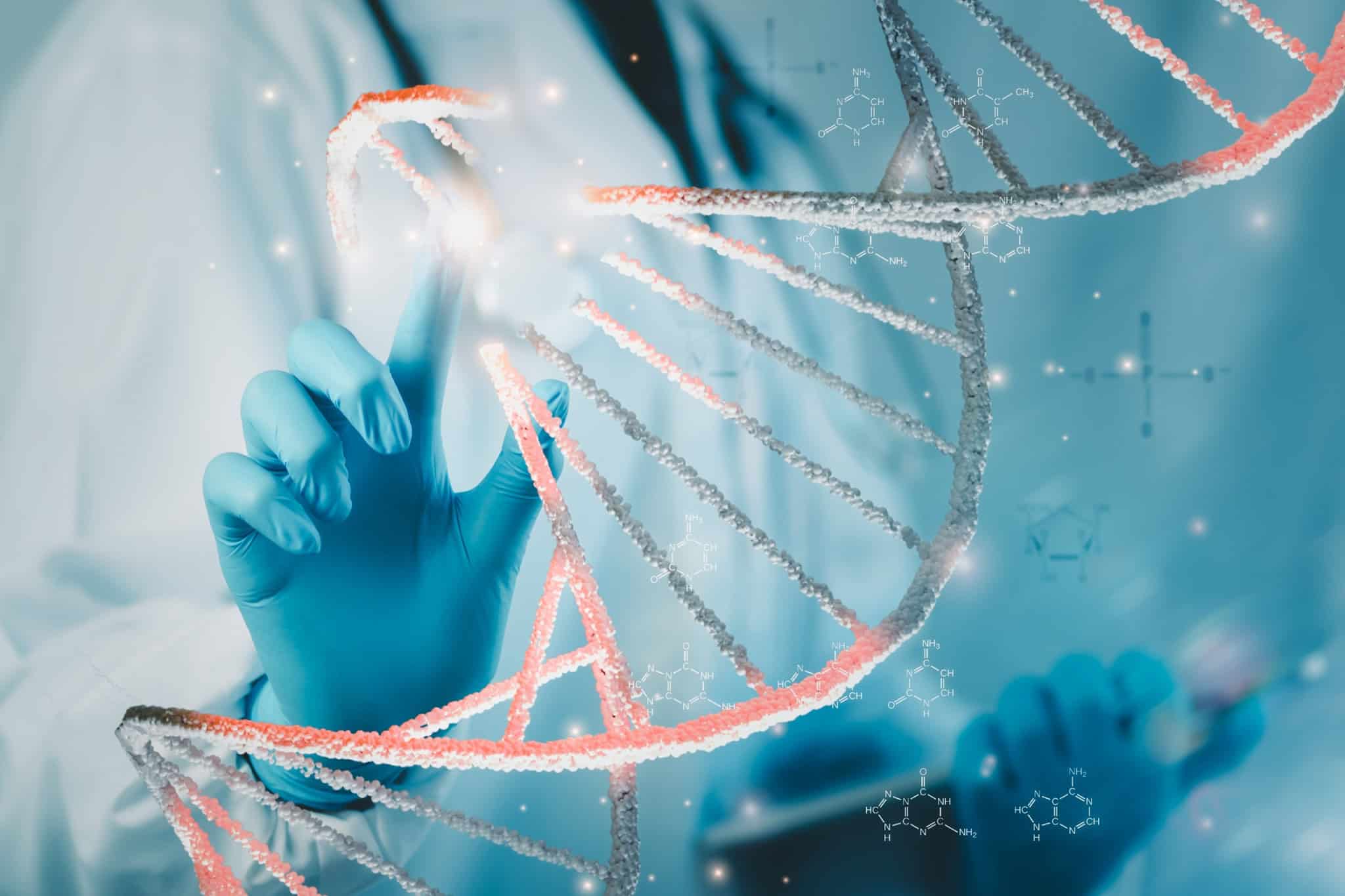 Cientistas detectam DNA de duas linhagens humanas extintas em genomas atuais