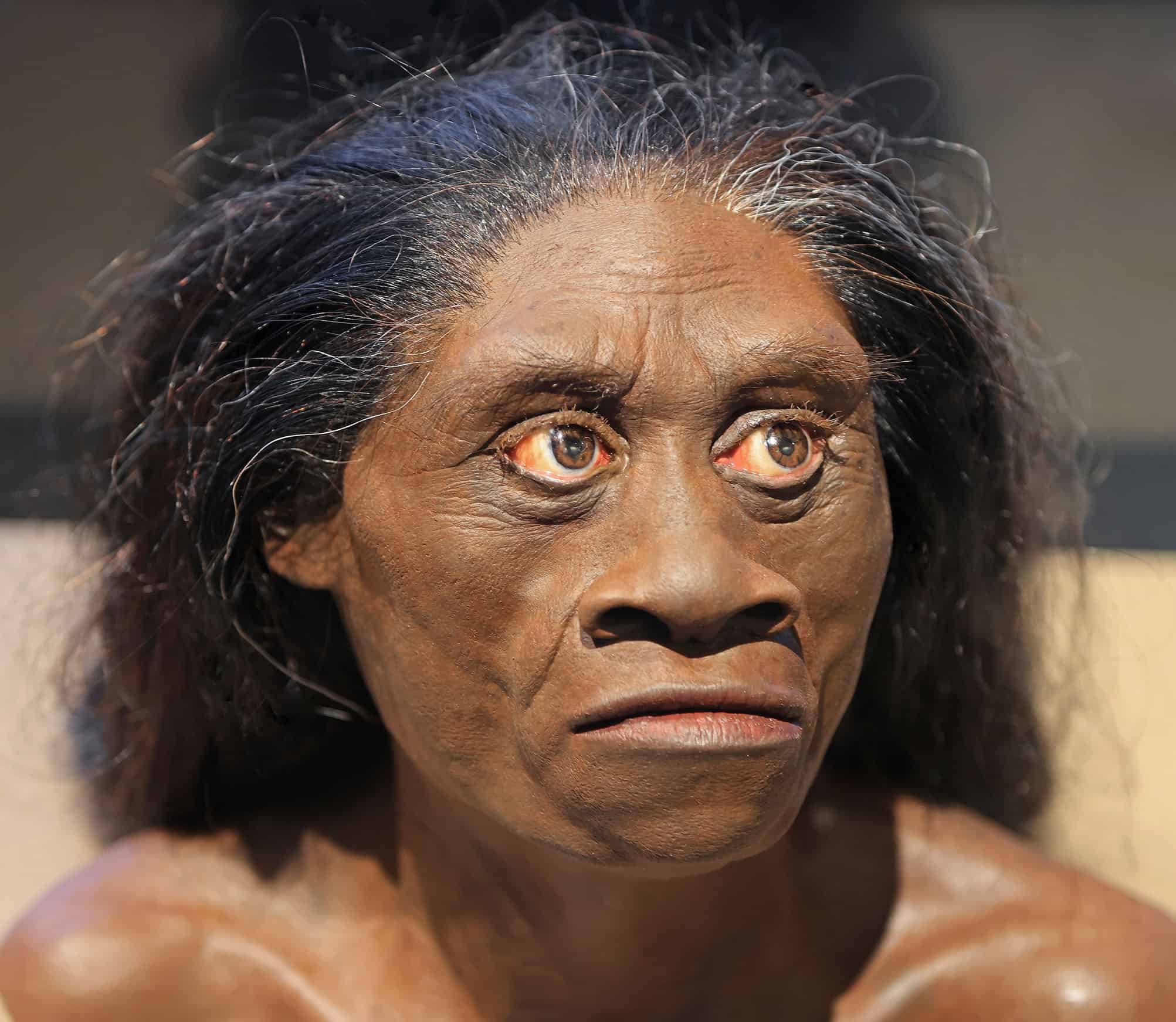 Estudo indica que “hobbits” pré-históricos podem não ter caçado nem controlado o fogo