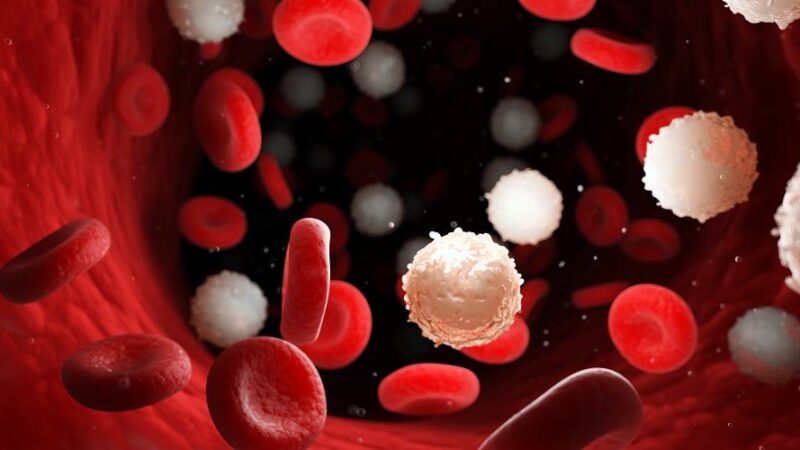 Nova técnica de edição genética ativa genes silenciosos de fungos e revela compostos com potencial anticâncer