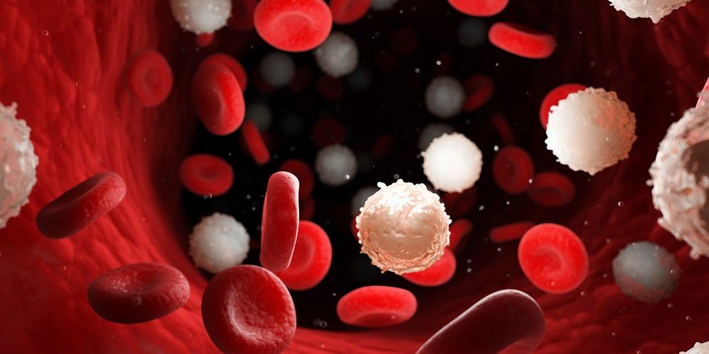 Nova técnica de edição genética ativa genes silenciosos de fungos e revela compostos com potencial anticâncer