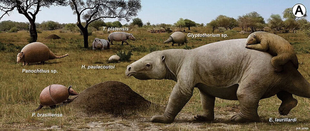 Estudo mostra que gado não substitui funções ecológicas deixadas pela megafauna do Pampa