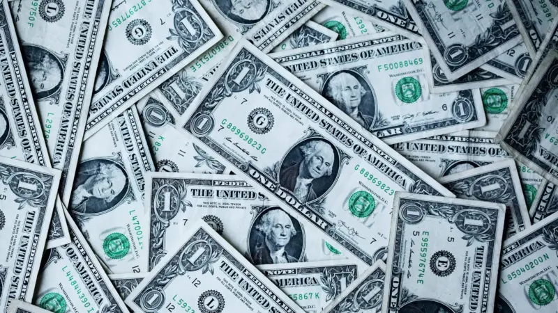 Tribe Music Group lança ValuePunks, ferramenta gratuita de avaliação de catálogos