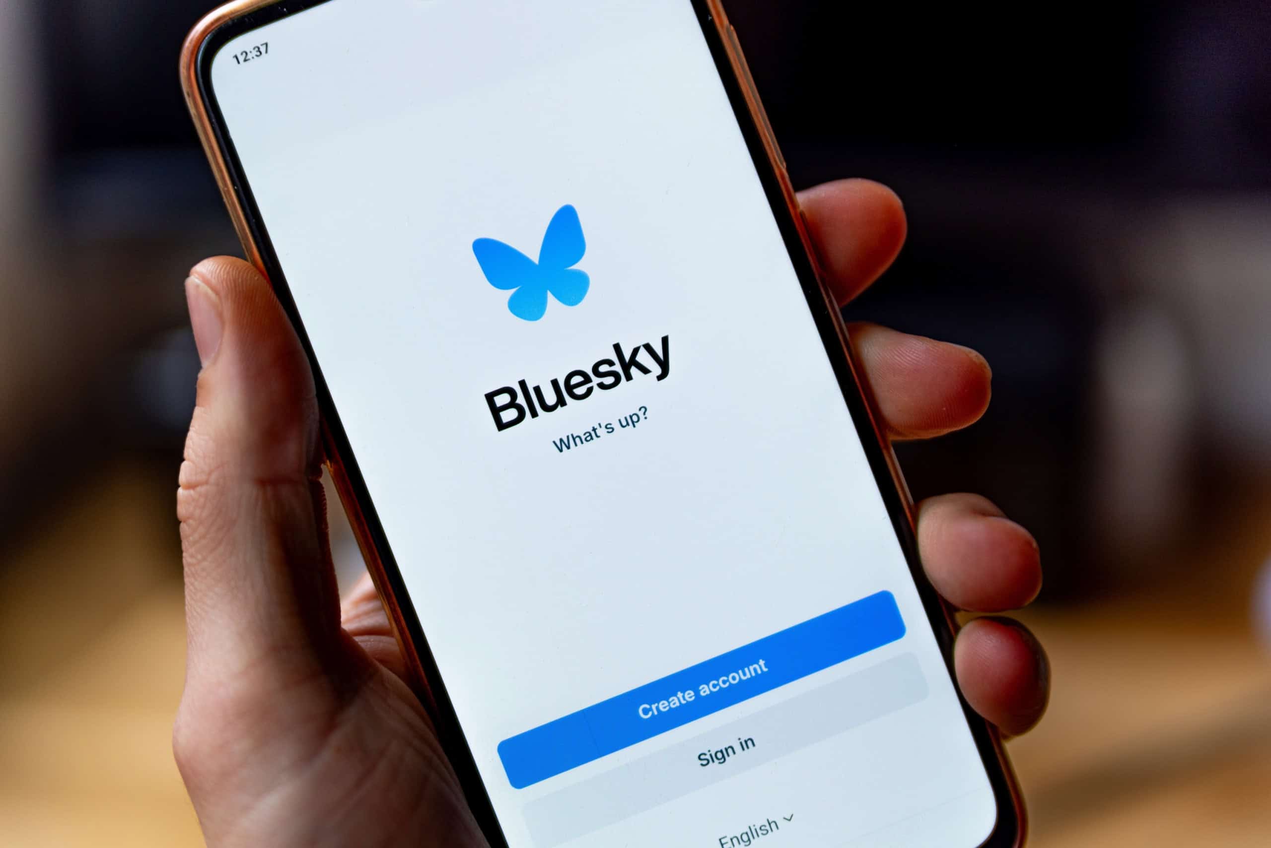Bluesky nomeia Toni Schneider como CEO permanente após quatro meses de interinidade