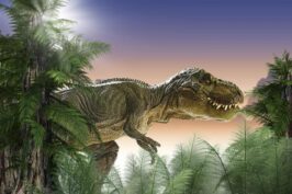 Pesquisadores identificam marcas raras atribuídas ao T. rex em ossos de 66 milhões de anos