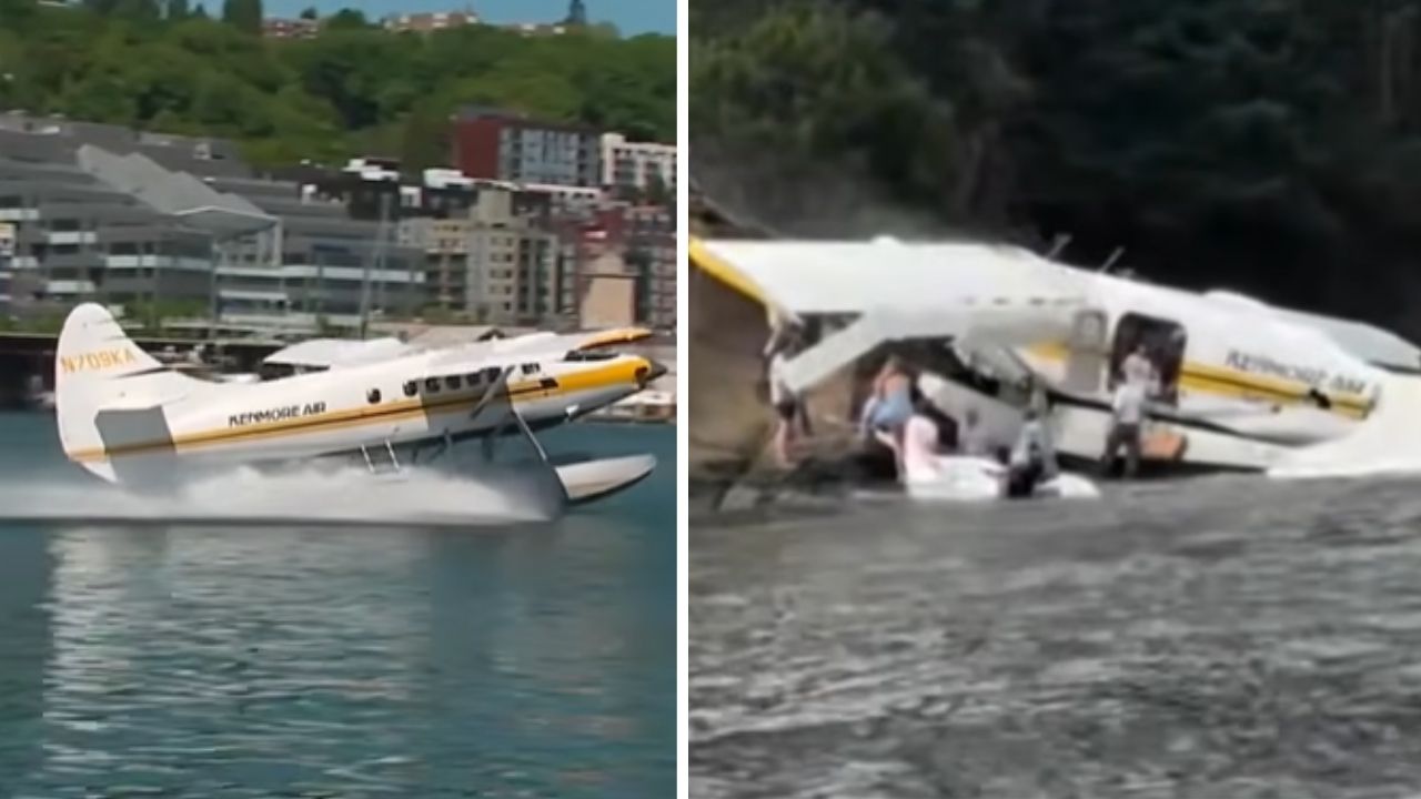 23/07/2026 — Piloto desvia de tempestade e hidroavião da Kenmore Air atinge margem rochosa na Ilha Sucia; 11 ocupantes sobrevivem