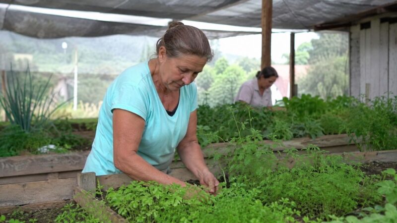Mulher que deixou a escola após a 4ª série retorna aos estudos após 38 anos e cursa Agroecologia no IFSC pelo Proeja