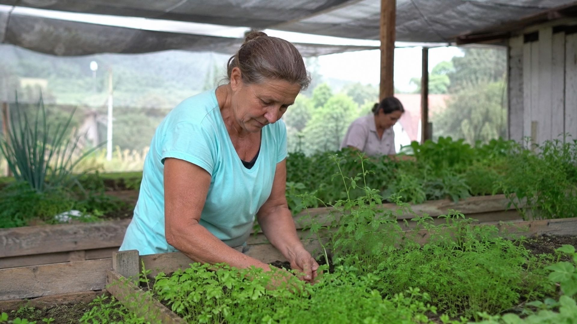 Mulher que deixou a escola após a 4ª série retorna aos estudos após 38 anos e cursa Agroecologia no IFSC pelo Proeja