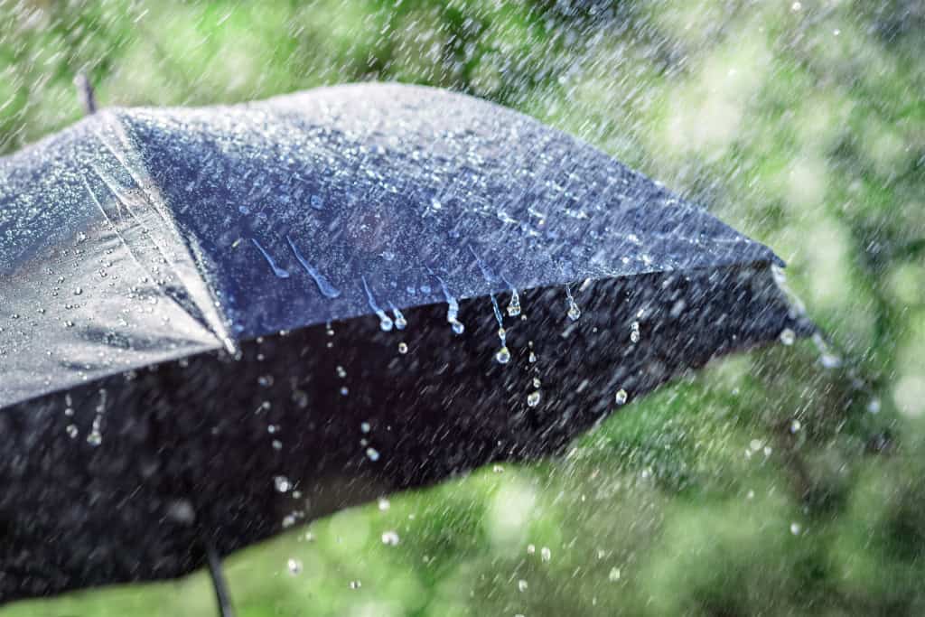 Pesquisadores da UNIASSELVI usam IA para antecipar impactos do El Niño no Brasil