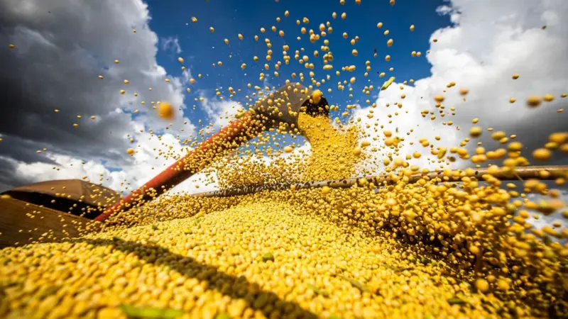 Brasil pode se tornar maior exportador agrícola do mundo em 2026, alcançando US$ 180 bilhões